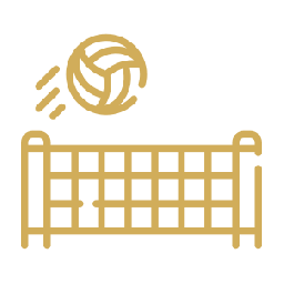 Volley Ball